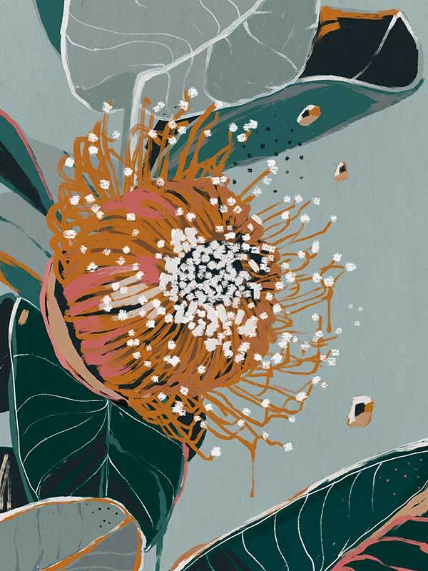 Dusty Flowering Gum II Canvas Art Print