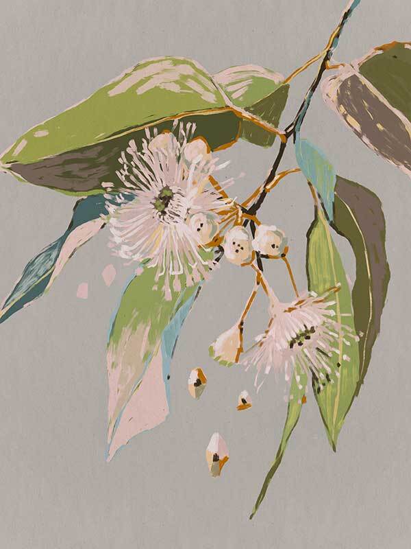 Neutral Flowering Gum II Canvas Art Print