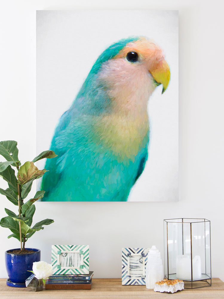 Soft as Feathers Canvas Art Print