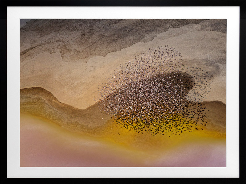 Fly By Lake Framed Art Print