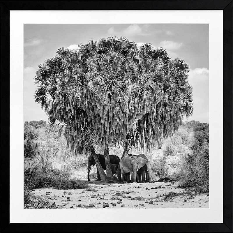 Elephants in Hiding Framed Art Print