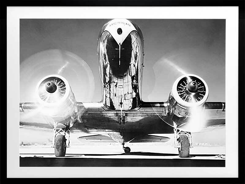 Aviator Framed Art Print