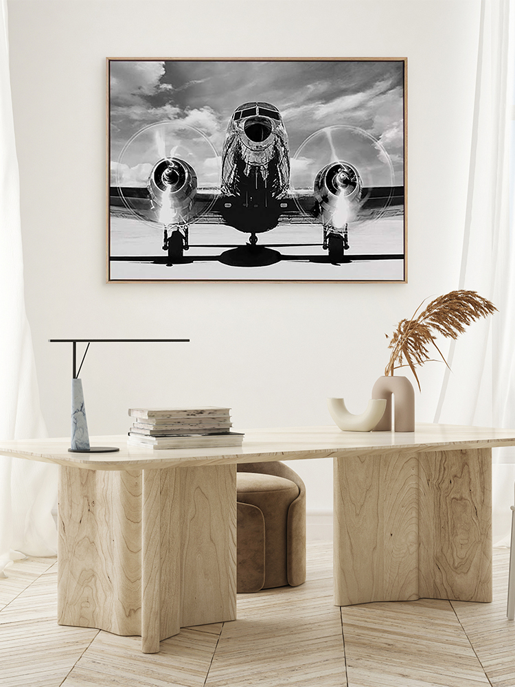 Ready for Takeoff Canvas Art Print