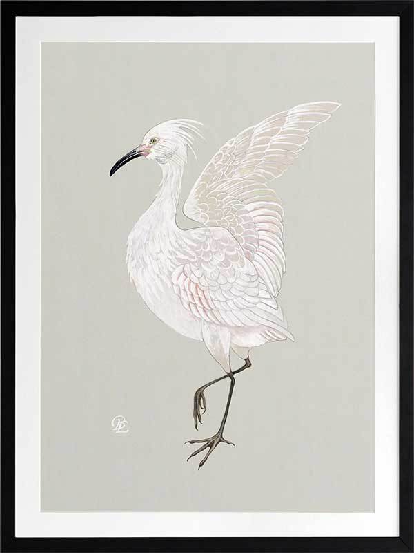 Water Bird Framed Art Print