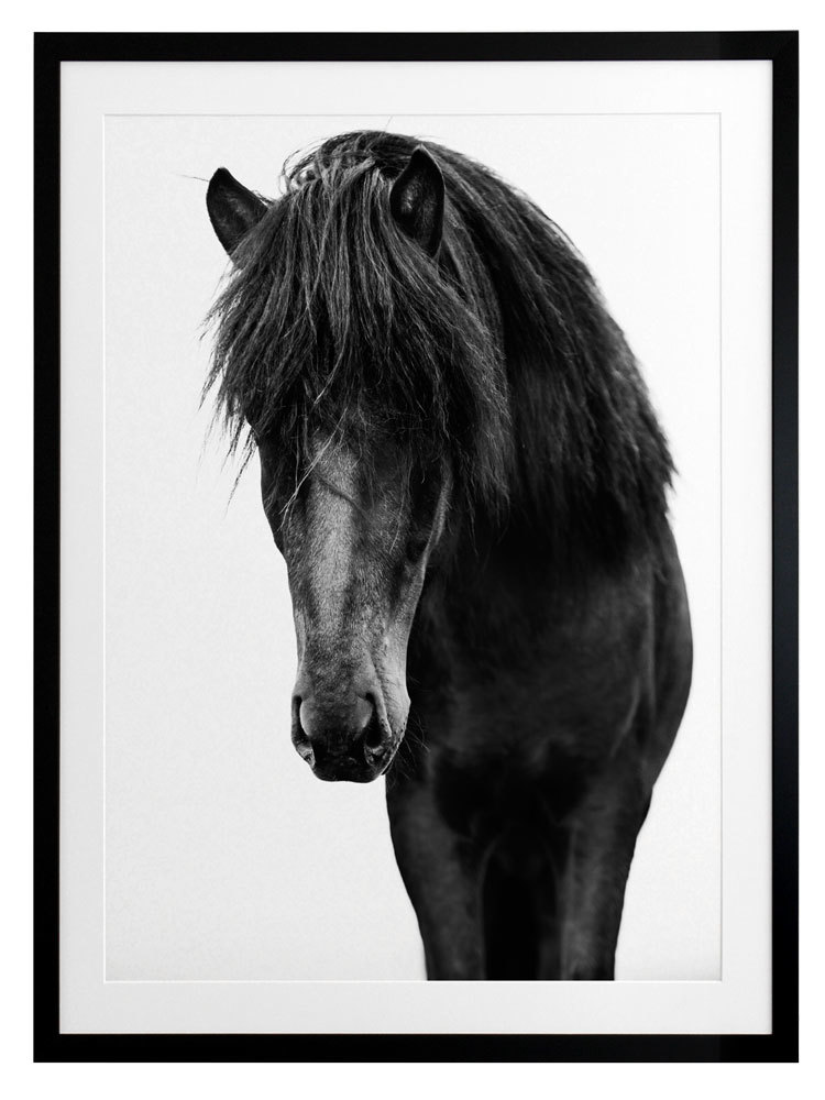 Horses 1 Framed Art Print
