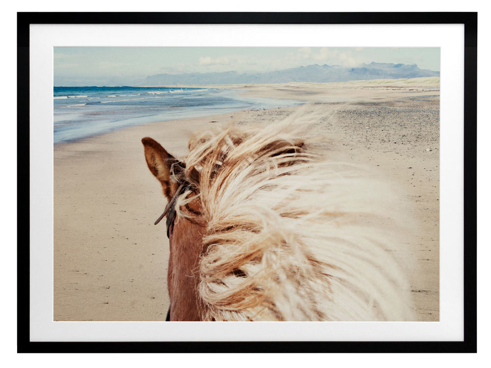 Beach Horse Framed Art Print