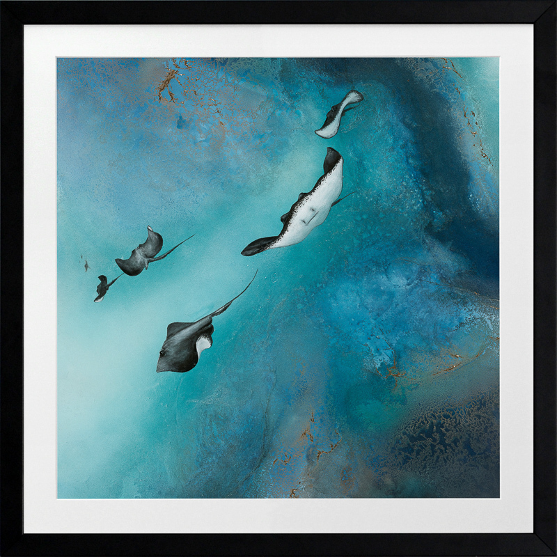 Stingrays Framed Art Print