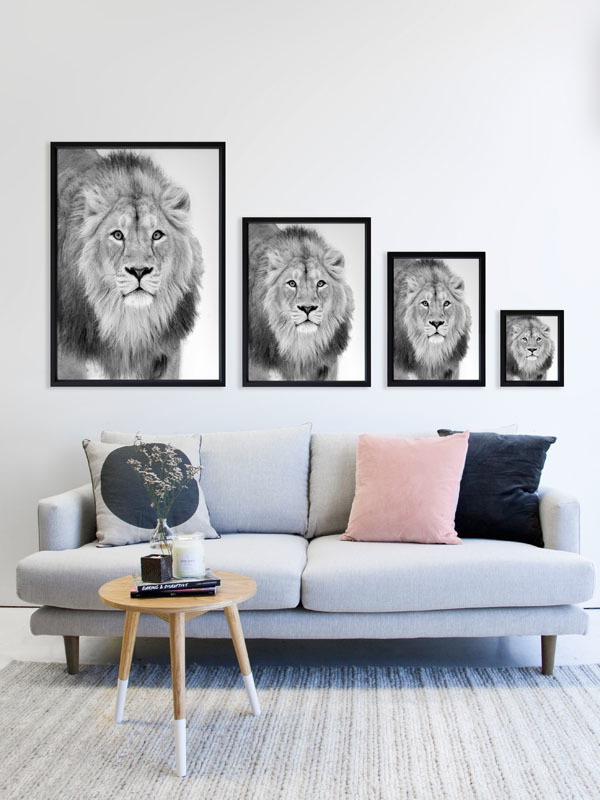 Lion Hunt Poster