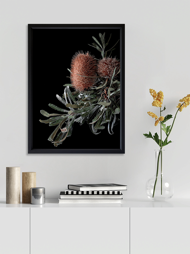 Wild Banksia Poster