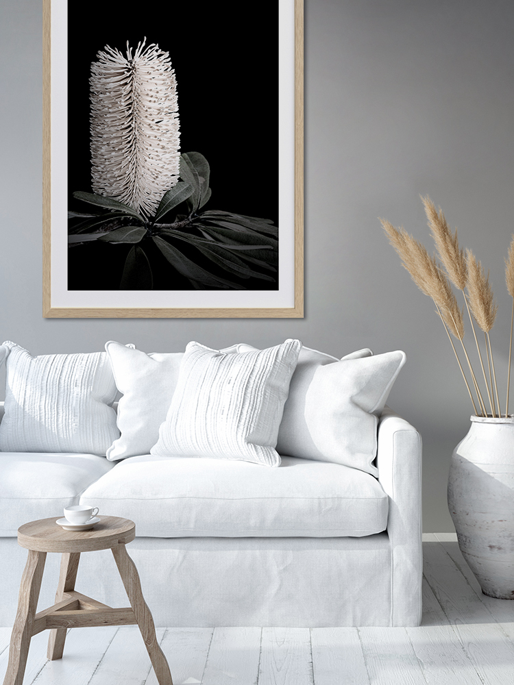 White Banksia I Poster