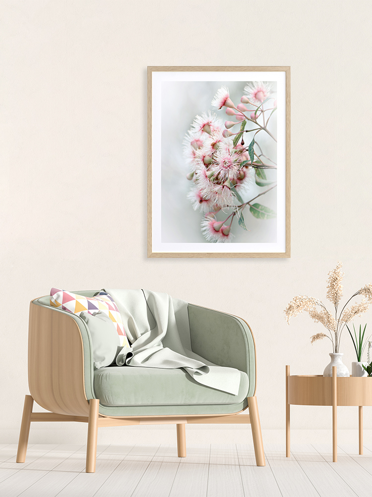 Gum Tree Blossoms Poster