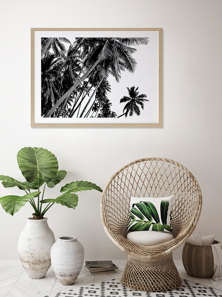 Black and White Palms Poster