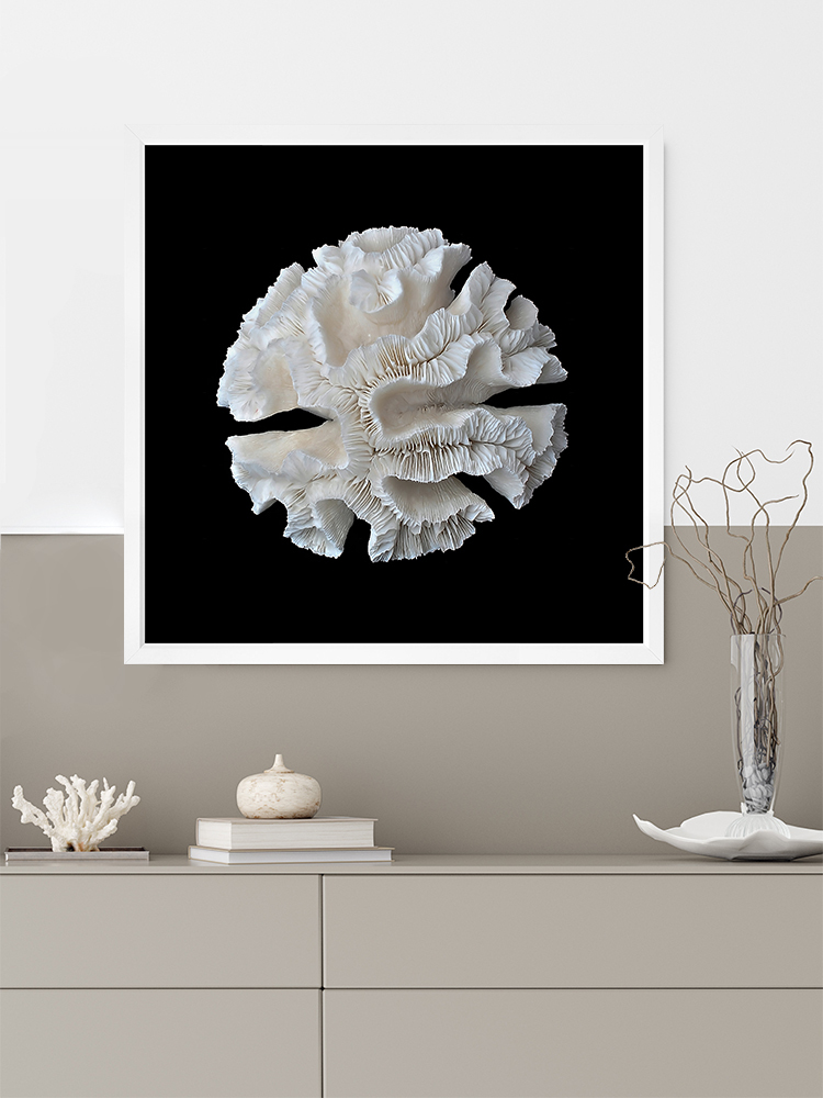 White Coral I Poster