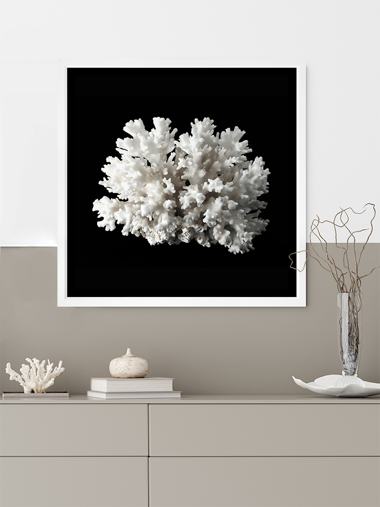 White Coral II Poster