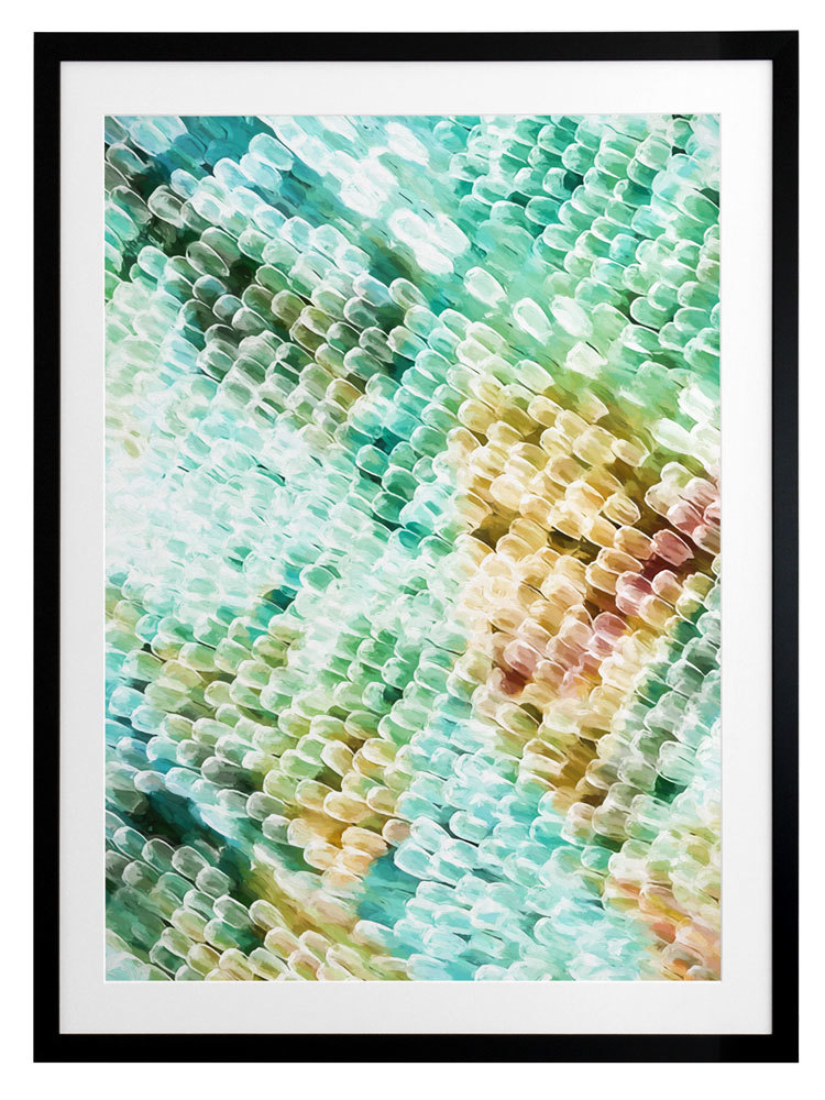 Papillon - Emerald City Framed Art Print