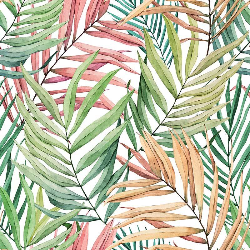 Among the Palms Wallpaper