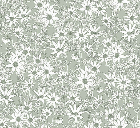 Flannel Flowers Wallpaper - Buy Floral & Botanical Themed Wallpaper By  Victoria McGrane for Urban Ro