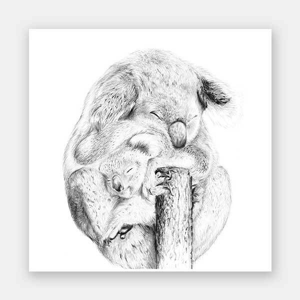 Snuggly Koalas Unframed Art Print