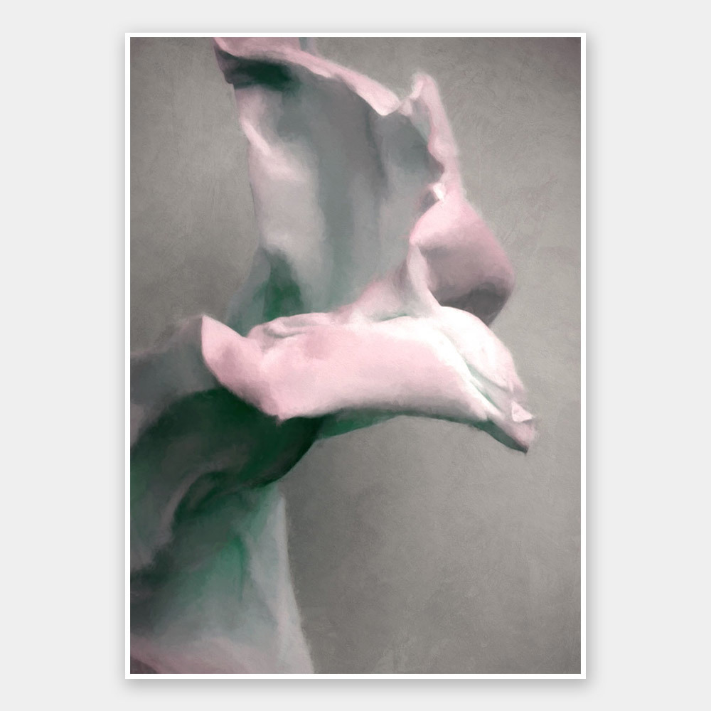 Bloom II Unframed Art Print