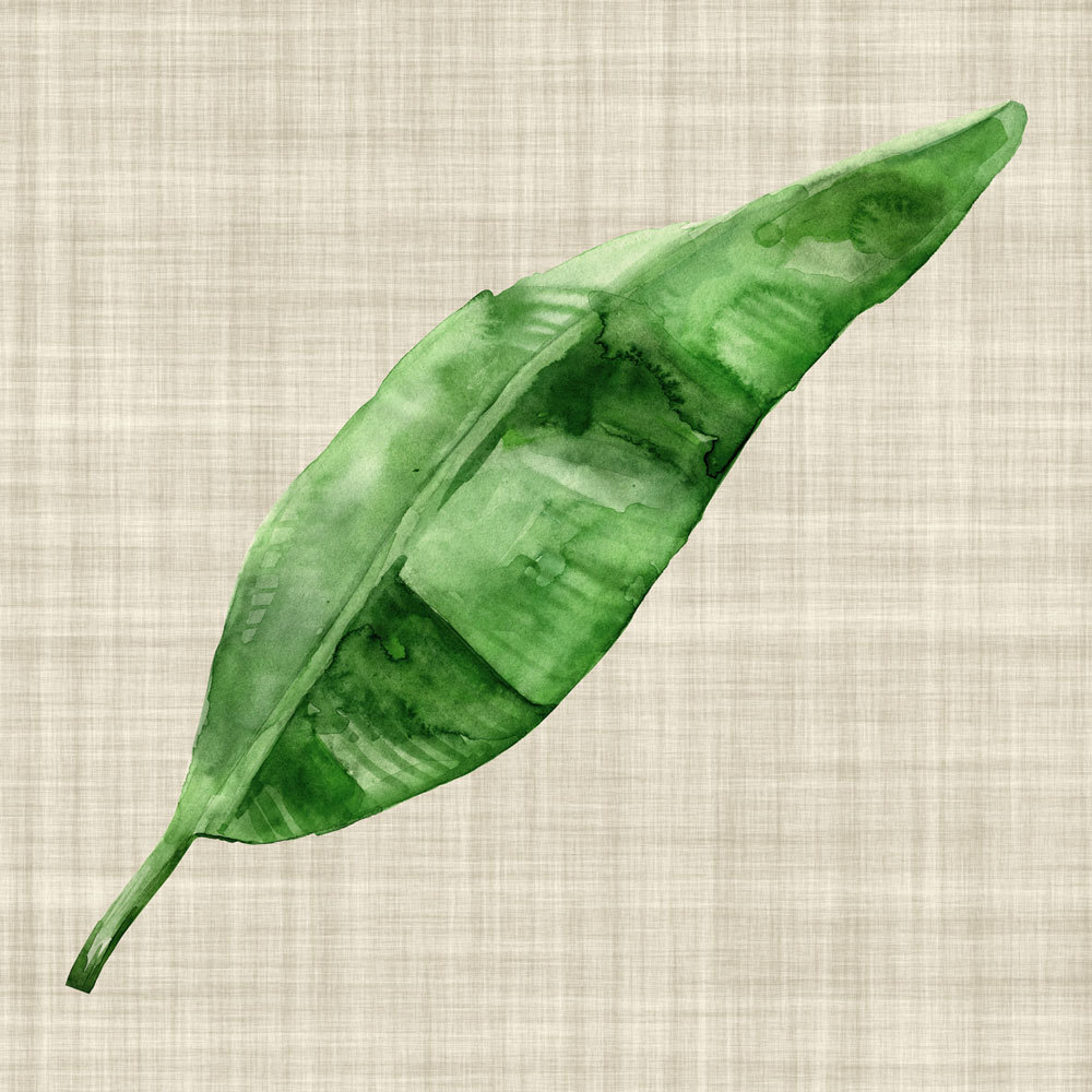 Green Leaf Canvas Art Print