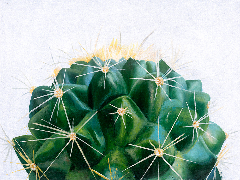 Cacti Canvas Art Print