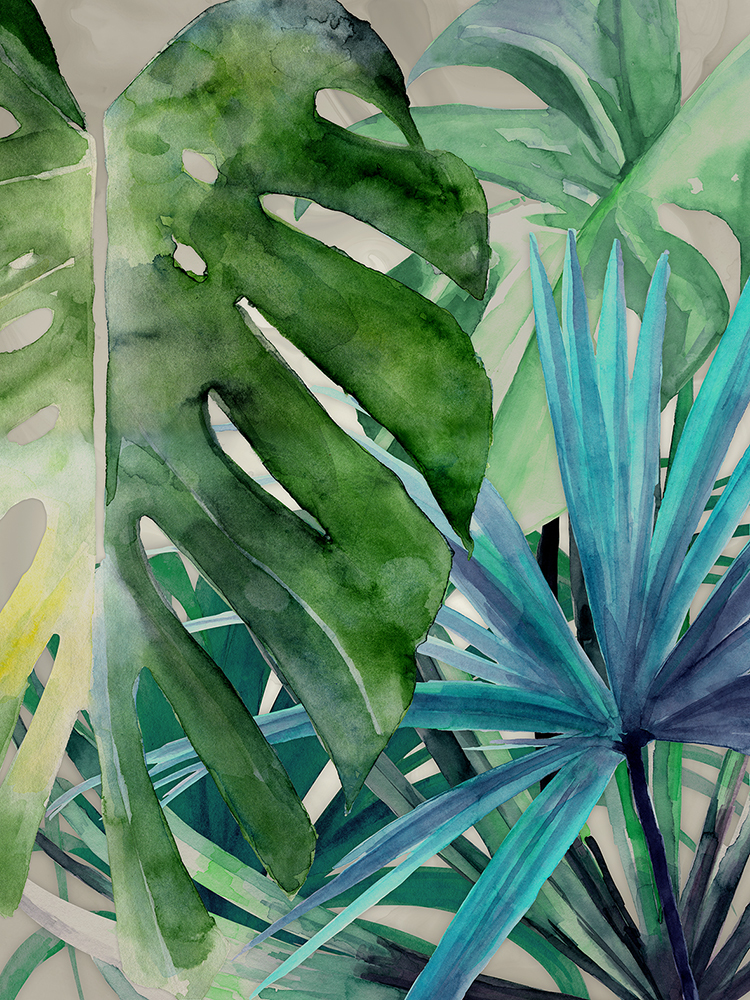 Palm Canyon Canvas Art Print