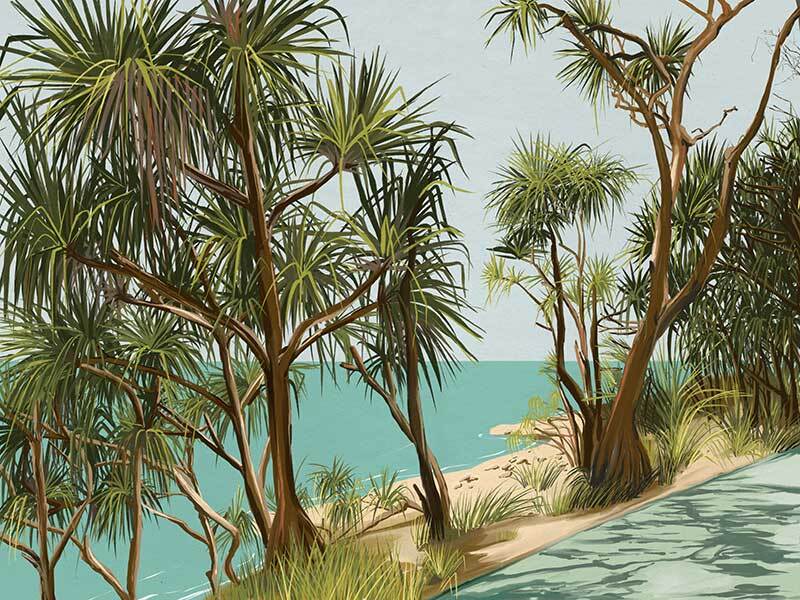 Sunshine Coast Canvas Art Print