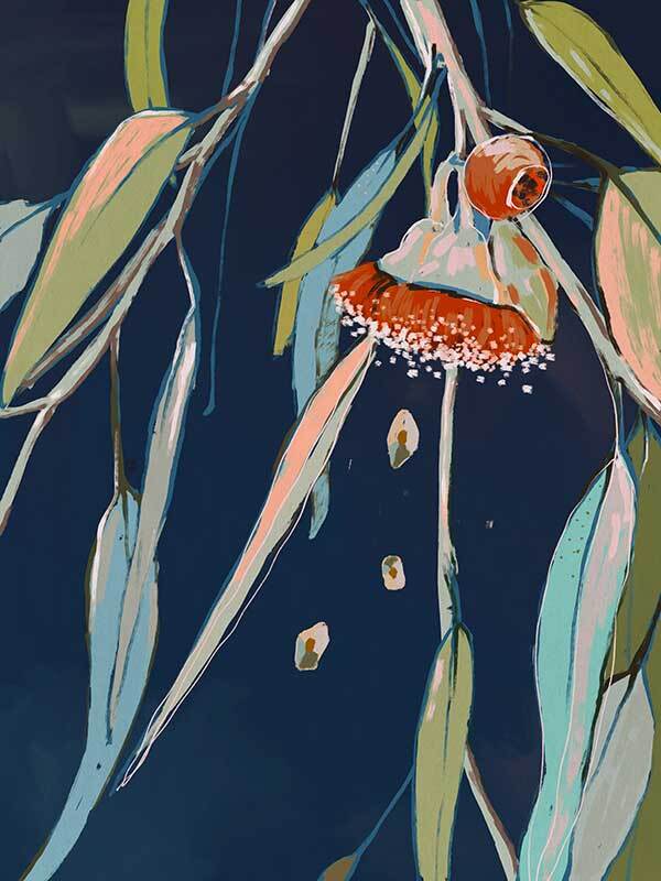 Coral Flowering Gum Canvas Art Print