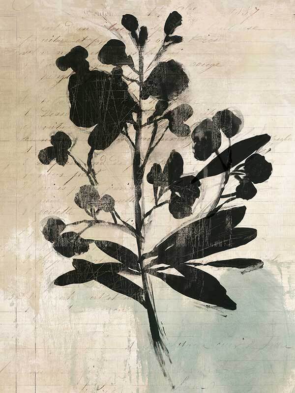 Inky Floral II Canvas Art Print