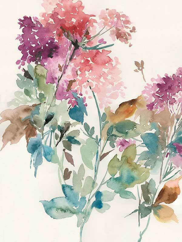 Sweet Hydrangea I Canvas Art Print