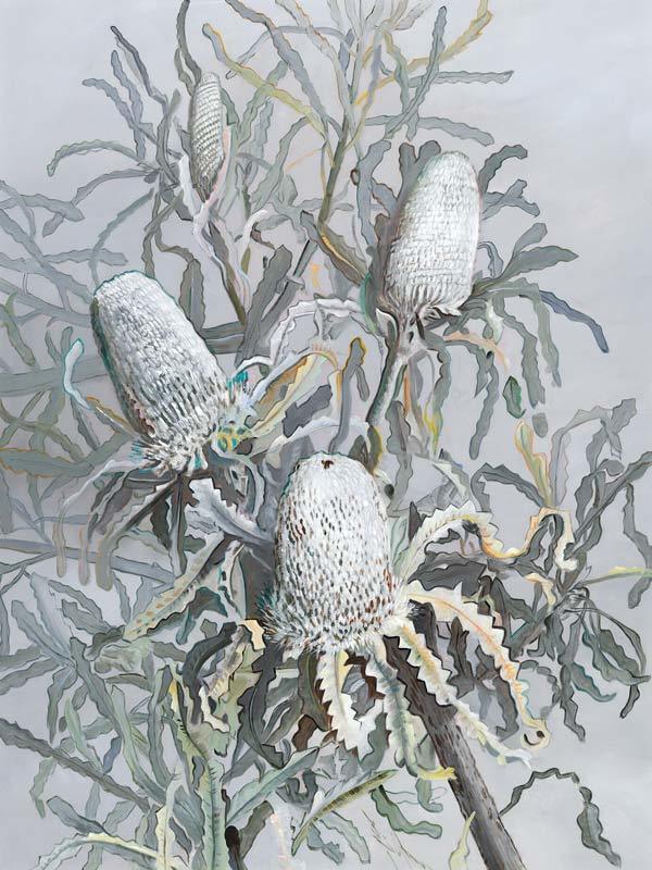 Banksia - Stretched Canvas - 90x60 - Portrait