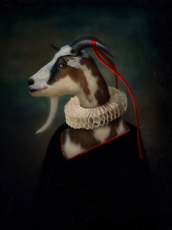Renaissance Goat Canvas Art Print