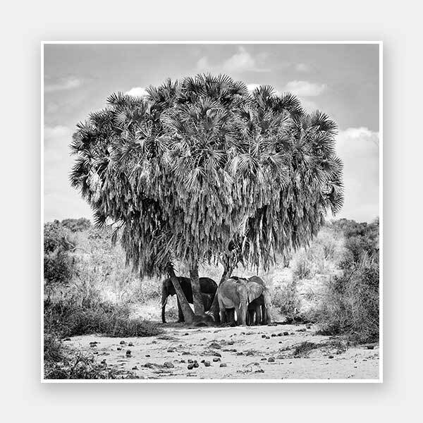 Elephants in Hiding Unframed Art Print
