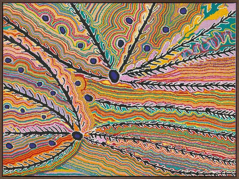 Wakirlpirri Jukurrpa Multicolour - Walnut Box Frame Canvas - 120x160 - Landscape