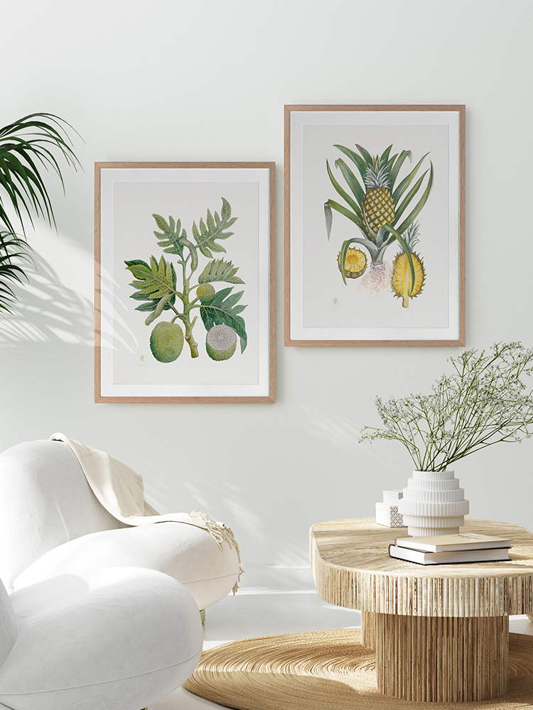 Breadfruit Framed Art Print