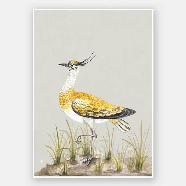 Golden Plover Unframed Art Print
