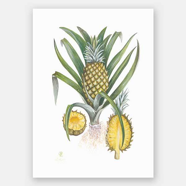 Pineapples Unframed Art Print