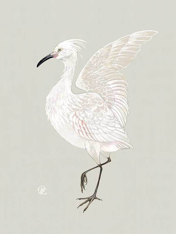 Water Bird Canvas Art Print