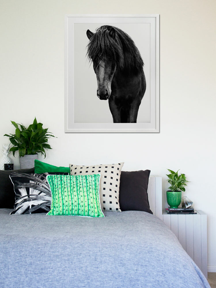 Horses 1 Framed Art Print