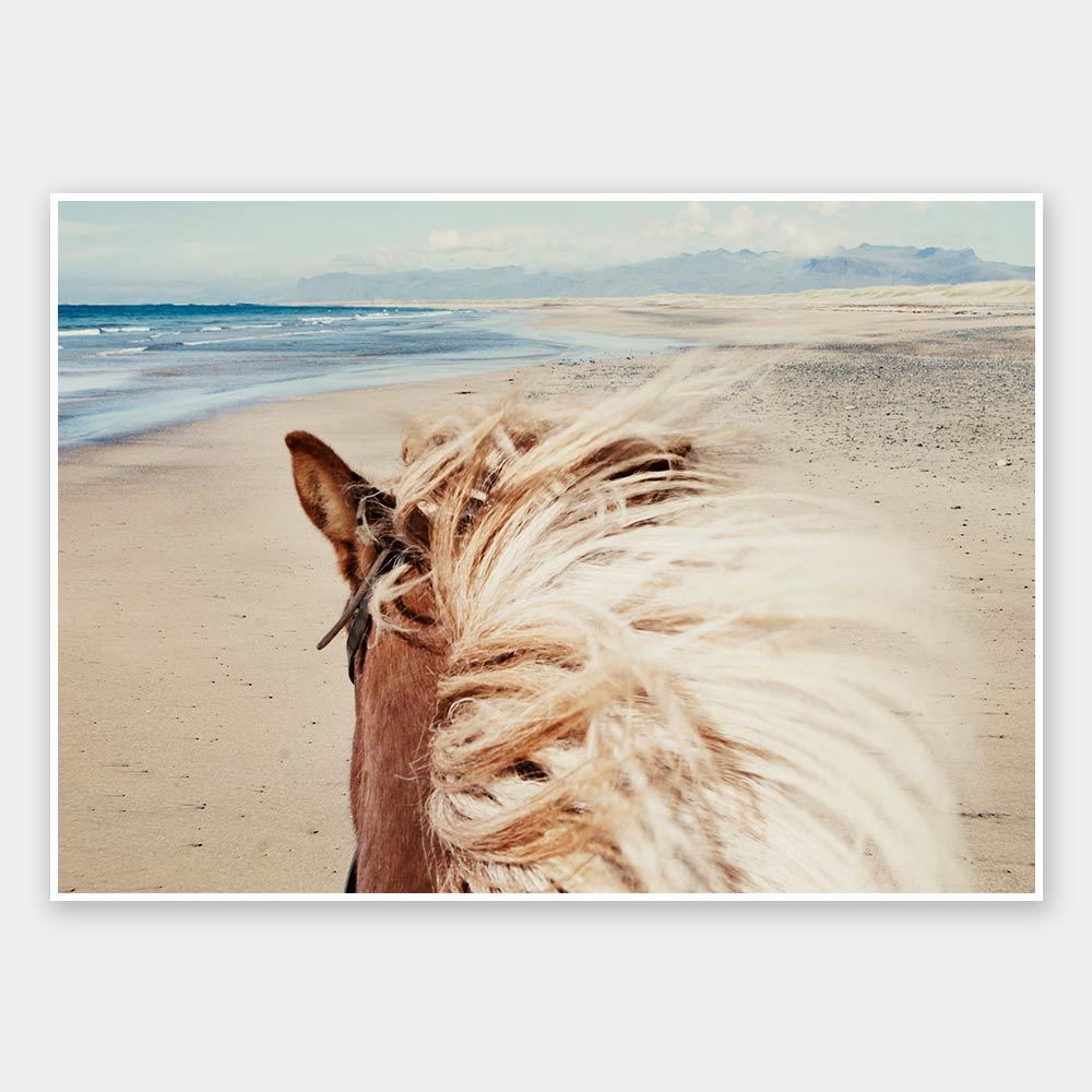Beach Horse Unframed Art Print