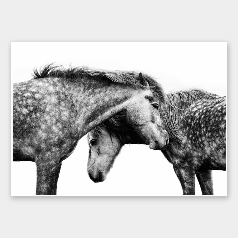 Spotted Horses Unframed Art Print