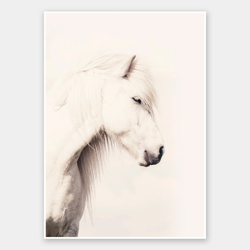 Icelandic Horse Unframed Art Print