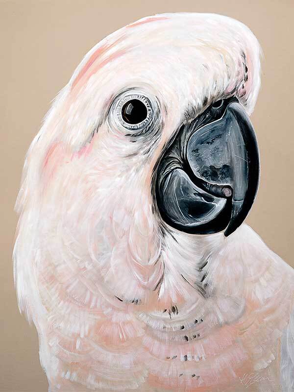 Moluccan Cockatoo Canvas Art Print