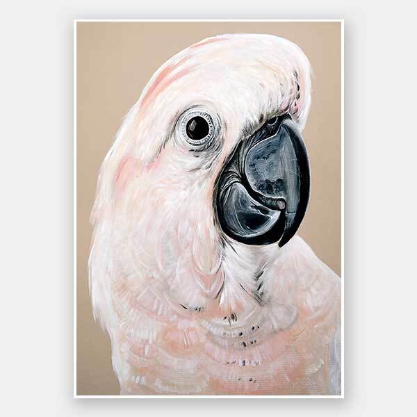 Moluccan Cockatoo Unframed Art Print
