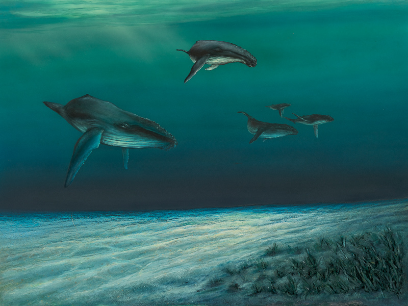Whales Canvas Art Print