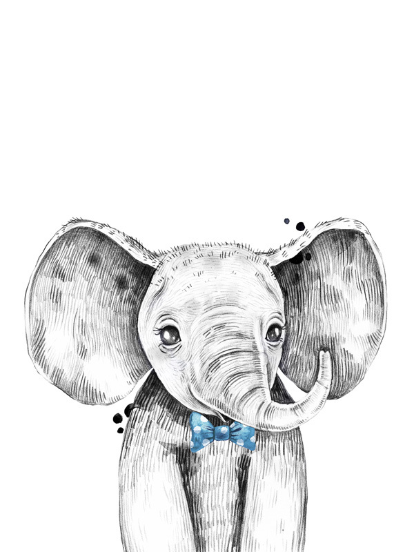 Errol Elephant Poster