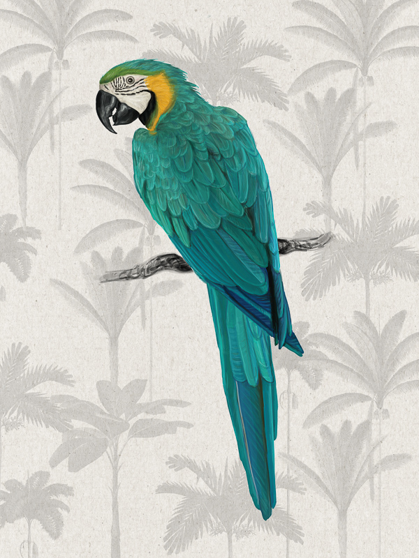 Tropical Macaw Poster