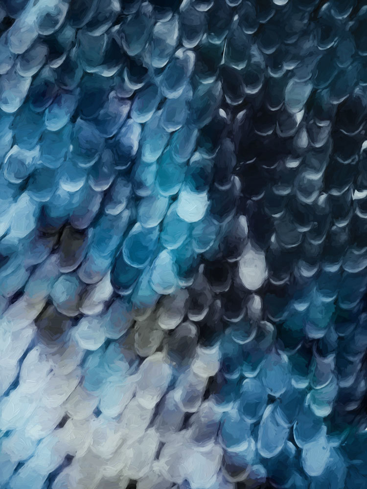 Papillon - Blue Divine Canvas Art Print