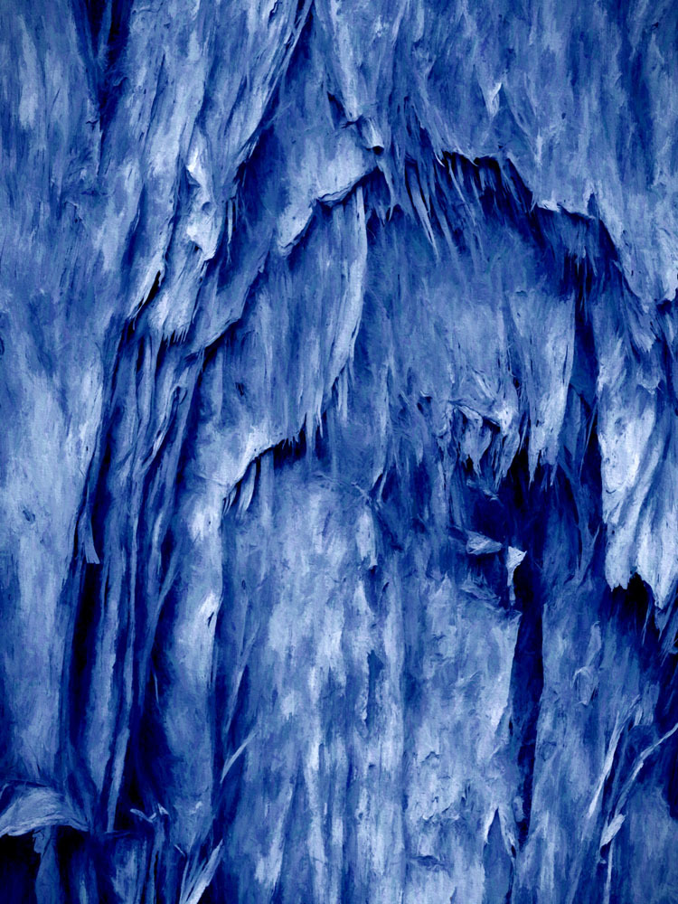 Glacial Song Canvas Art Print