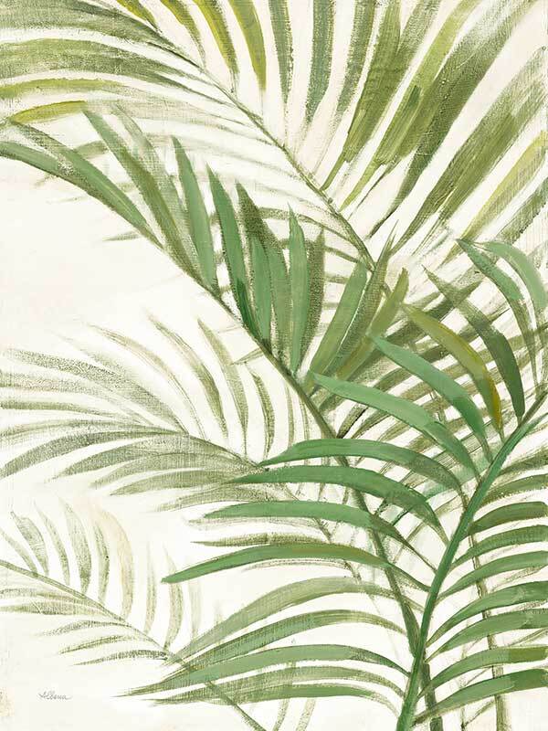Areca Palm I Canvas Art Print